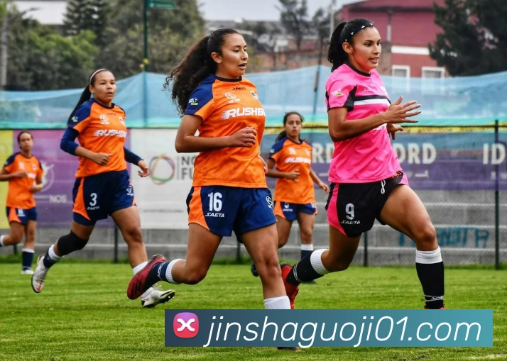 金沙国际平台品牌故事