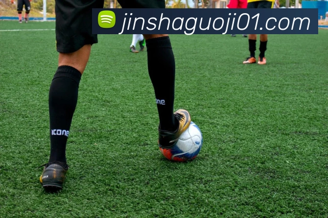 多媒体互动体验